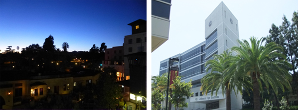 左：住んでいたアパートからの風景　右：ドヘニー眼研究所