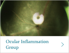 Ocular Inflammation Group