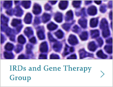IRDs and Gene Therapy Group